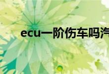  ecu一阶伤车吗汽车刷一阶程序多少钱 