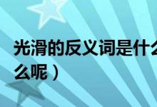 光滑的反义词是什么词呢（光滑的反义词是什么呢）
