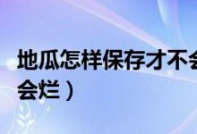 地瓜怎样保存才不会发芽（地瓜怎样保存才不会烂）
