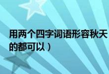 用两个四字词语形容秋天（形容秋天的词语两个字的四个字的都可以）