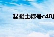 混凝土标号c40里（c的全称是什么）
