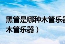 黑管是哪种木管乐器（俗称的“黑管”是那种木管乐器）