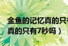 金鱼的记忆真的只有7秒吗视频（金鱼的记忆真的只有7秒吗）