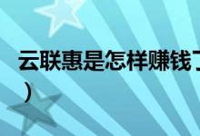 云联惠是怎样赚钱了的（云联惠靠什么赚钱的）