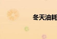  冬天油耗高2个正常吗 