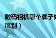 数码相机哪个牌子好（数码相机和单反相机的区别）