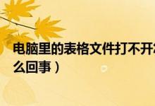 电脑里的表格文件打不开怎么办（电脑打不开表格文件是怎么回事）