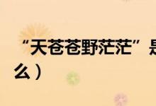 “天苍苍野茫茫”是什么歌（歌词及歌名是什么）
