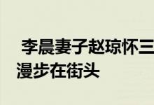  李晨妻子赵琼怀三胎 与李晨仿佛老夫老妻般漫步在街头 