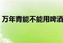 万年青能不能用啤酒浇（万年青能不能开花）