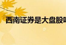 西南证券是大盘股吗 西南证券是大券商吗 