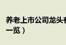 养老上市公司龙头有哪些（养老相关上市公司一览）