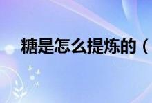 糖是怎么提炼的（糖是怎么提炼出来的）