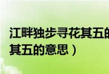 江畔独步寻花其五的简单意思（江畔独步寻花其五的意思）