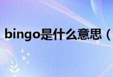 bingo是什么意思（bingo游戏规则是什么）