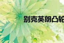  别克英朗凸轮轴r和m代表什么 