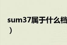 sum37属于什么档次（sum37属于什么档次）