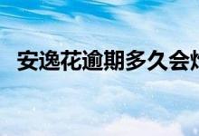 安逸花逾期多久会炸通讯录（安逸花逾期）