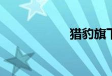  猎豹旗下有哪些suv 
