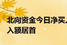 北向资金今日净买入23.98亿元宁德时代净买入额居首