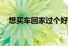 想买车回家过个好年（奇瑞a3多少钱呢）