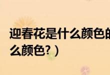 迎春花是什么颜色的长什么样子（迎春花是什么颜色?）