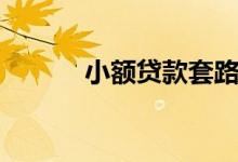 小额贷款套路（小额贷款软件）