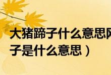 大猪蹄子什么意思网络语言（网络上的大猪蹄子是什么意思）