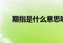 期指是什么意思呢（期指是什么意思）