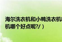 海尔洗衣机和小鸭洗衣机哪个更好（海尔洗衣机和小鸭洗衣机哪个好点呢?/）