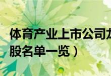 体育产业上市公司龙头有哪些（体育产业概念股名单一览）