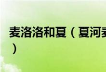 麦洛洛和夏（夏河麦洛洛现在到底复合了没有）