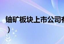 铀矿板块上市公司有哪些（铀矿概念股票一览）