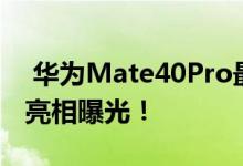  华为Mate40Pro最新消息:华为Mate40Pro亮相曝光！ 