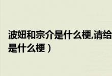 波妞和宗介是什么梗,请给我解释一下（网络热词波妞和宗介是什么梗）