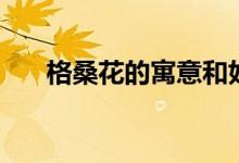格桑花的寓意和好处（格桑花的寓意）