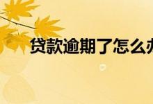 贷款逾期了怎么办（贷款逾期会怎样）