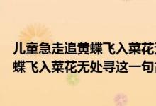 儿童急走追黄蝶飞入菜花无处寻这是什么诗（儿童急走追黄蝶飞入菜花无处寻这一句古诗的意思是）