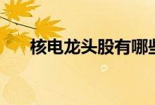 核电龙头股有哪些（核电概念股一览）