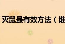 灭鼠最有效方法（谁有好的有效的灭鼠方法）