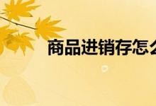 商品进销存怎么填（商品贷系统）