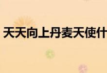 天天向上丹麦天使什么时候播出（是哪一期）