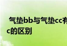  气垫bb与气垫cc有什么区别 气垫bb和气垫cc的区别 