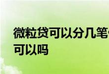 微粒贷可以分几笔借钱吗 微粒贷分两笔借款可以吗