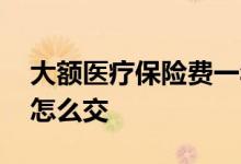 大额医疗保险费一年交多少 大额医疗保险费怎么交 