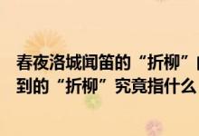 春夜洛城闻笛的“折柳”的寓意（《春夜洛城闻笛》诗中提到的“折柳”究竟指什么）