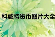 科威特货币图片大全（科威特是用什么货币）
