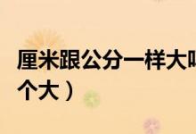 厘米跟公分一样大吗（公分和厘米一样大吗哪个大）