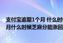 支付宝逾期1个月 什么时候芝麻分能涨回来 支付宝逾期3个月什么时候芝麻分能涨回来