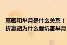 赢驷和芈月是什么关系（《芈月传》赢驷历史原型及人物分析赢驷为什么要坑害芈月）